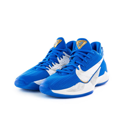 Nike Freak 2 Special Edition (GS) CZ4177-408-