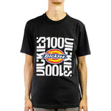 Dickies 100 Box T-Shirt DK0A4Y2GBLK-