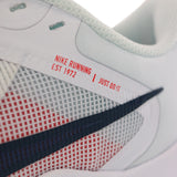 Nike Downshifter 11 DD9293-101-