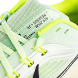 Nike Air Zoom Pegasus 39 DH4071-301-