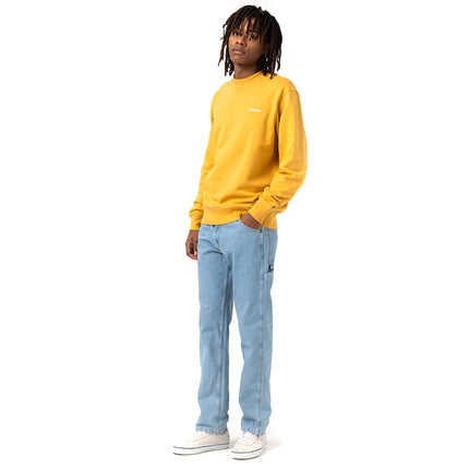 Dickies Garyville Denim Jeans DK0A4XECC151-