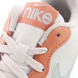 Nike Court Borough Low 2 Special Edition 1 (GS) DM1216-100-