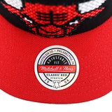 Mitchell & Ness Chicago Bulls NBA 8 Bit XL Classic Red Snapback Cap HHSSINTL1090-CBUBLCK-