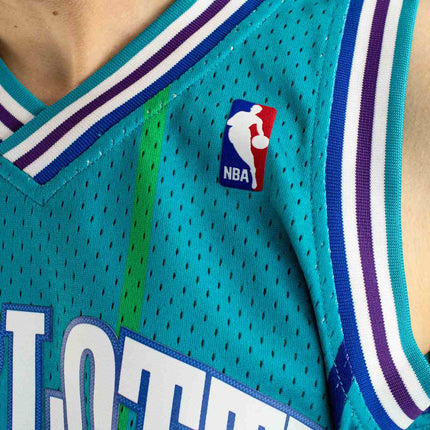 Mitchell & Ness Charlotte Hornets NBA Larry Johnson # 2 1991-92 Swingman Jersey 2.0 Trikot SMJYGS18147-CHOTEAL92LJO-