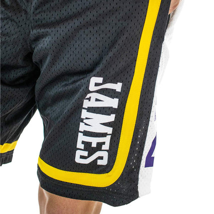 NBA Los Angeles Lakers NBA Lebron James Hooper Ball Short EK2M1BBSY-