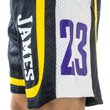 NBA Los Angeles Lakers NBA Lebron James Hooper Ball Short EK2M1BBSY-