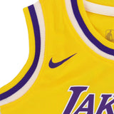 Nike Los Angeles Lakers NBA Lebron James Replica Jersey OneSize EZ2I1BZ0P-LAK06-