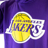Nike Los Angeles Lakers NBA Essential Hoodie CN1197-504 - lila-gelb