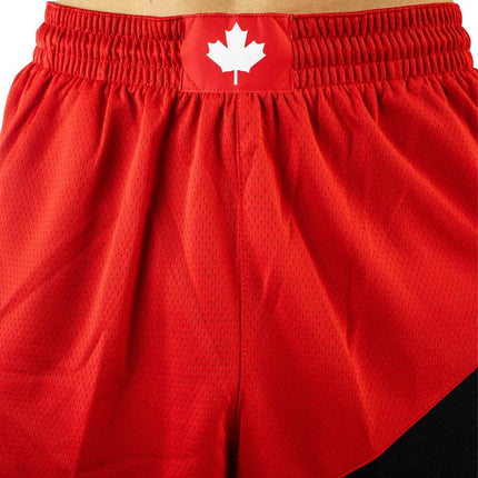 Nike Toronto Raptors NBA Dri-Fit Icon Edition Swingman Short CN8089-657-