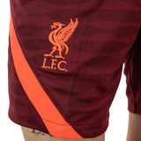 Nike Liverpool FC Dri-Fit Strike Short DB0271-677-