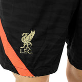 Nike Liverpool FC Dri-Fit Strike Short DB0271-010-