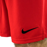Nike Dri-Fit Knit Short 6.0 DD1887-657-