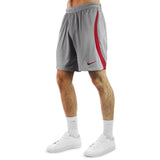 Nike Liverpool FC Strike Short DR4663-084 - grau-rot