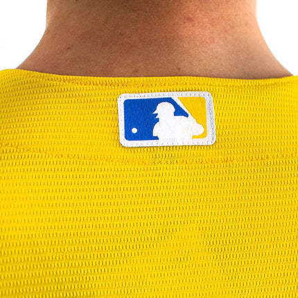 Nike Boston Red Sox City Connect MLB Official Replica Jersey Trikot T770-BQCG-BQ-KMJ-