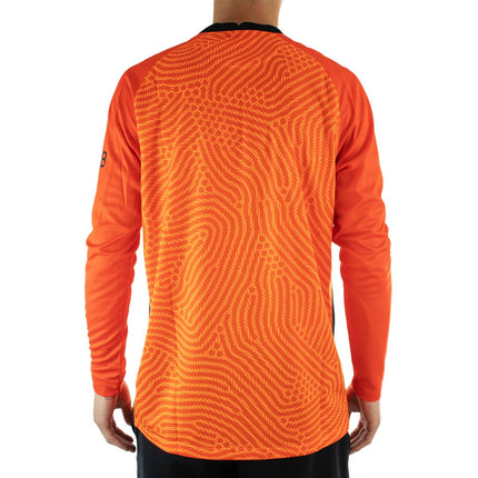 Nike Paris Saint-Germain Bright Stadium Goalkeeper Jersey Trikot CD4273-804-