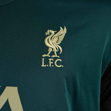 Nike Liverpool FC Dri-Fit Strike Top T-Shirt Trikot DB0268-376-