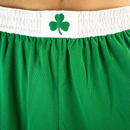 Nike Boston Celtics NBA Swingman Short AJ5587-312 - grün-weiss