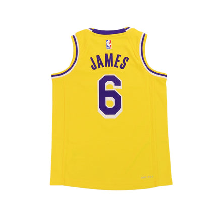 Nike Los Angeles Lakers NBA Swingman Lebron James Icon Jersey EZ2B7BZ2P-LAK06-