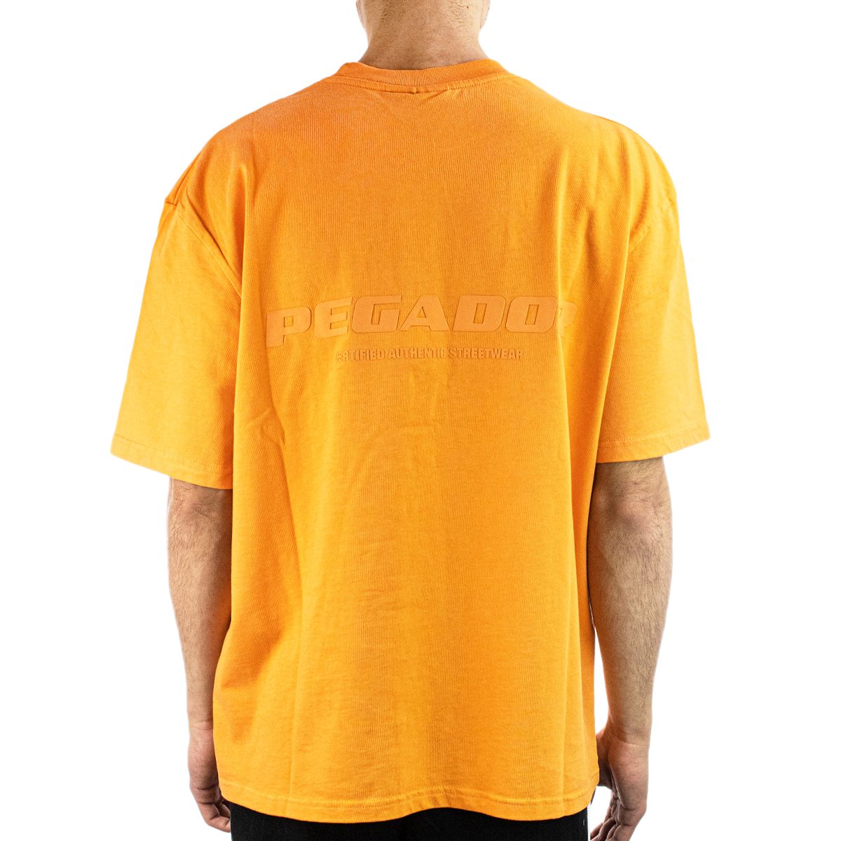 Pegador Colne Logo Oversized T-Shirt 60377624-
