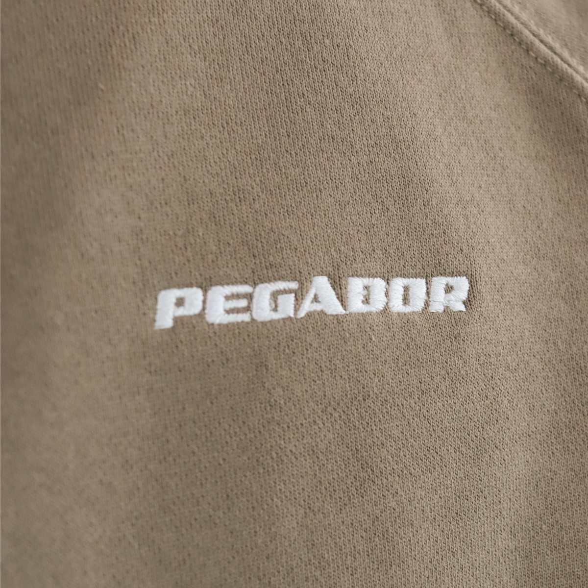 Pegador Logo Oversized Halfzip Hoodie 60228781-