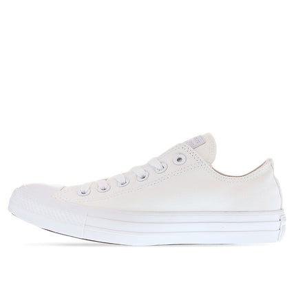 Converse All Star Chucks Ox Canvas 1U647C-