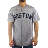 Nike Boston Red Sox MLB Official Replica Cooperstown Jersey Trikot C267GBRSBRSUCT - grau