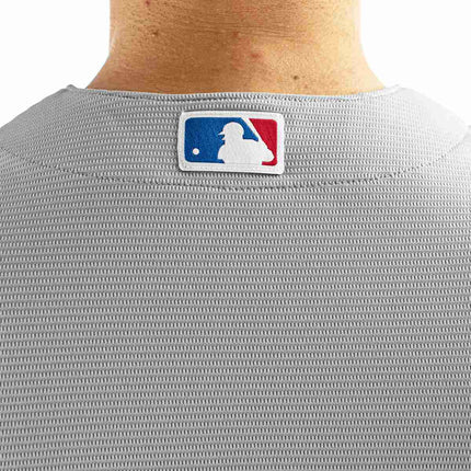 Nike Chicago Cubs MLB Official Replica Alternate Jersey Trikot T770EJGREJXVR-