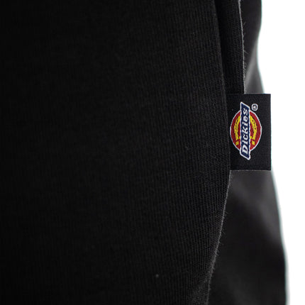 Dickies Mapleton T-Shirt DK0A4XDBBLK1alt-